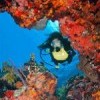 St. John Diving