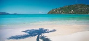 A palm tree shadow on the blue water of Magens Bay, one of the most beautiful beaches in the world.